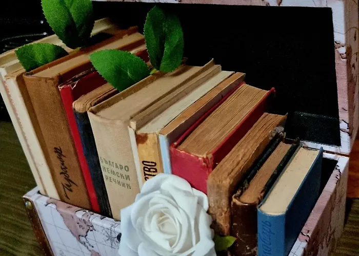 Homestay Bohemian Retro