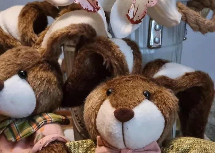 Homestay Bohemian Retro *