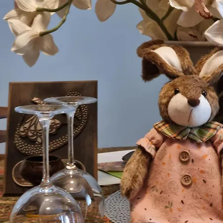 Bohemian Retro Varna