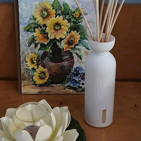 Homestay Bohemian Retro
